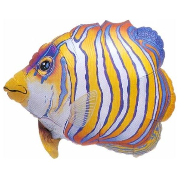 Folie helium ballon Shape Tropical Fish 55cm