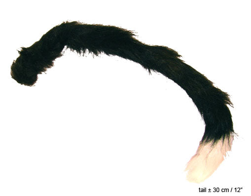 Kattenstaart zwart met wit puntje