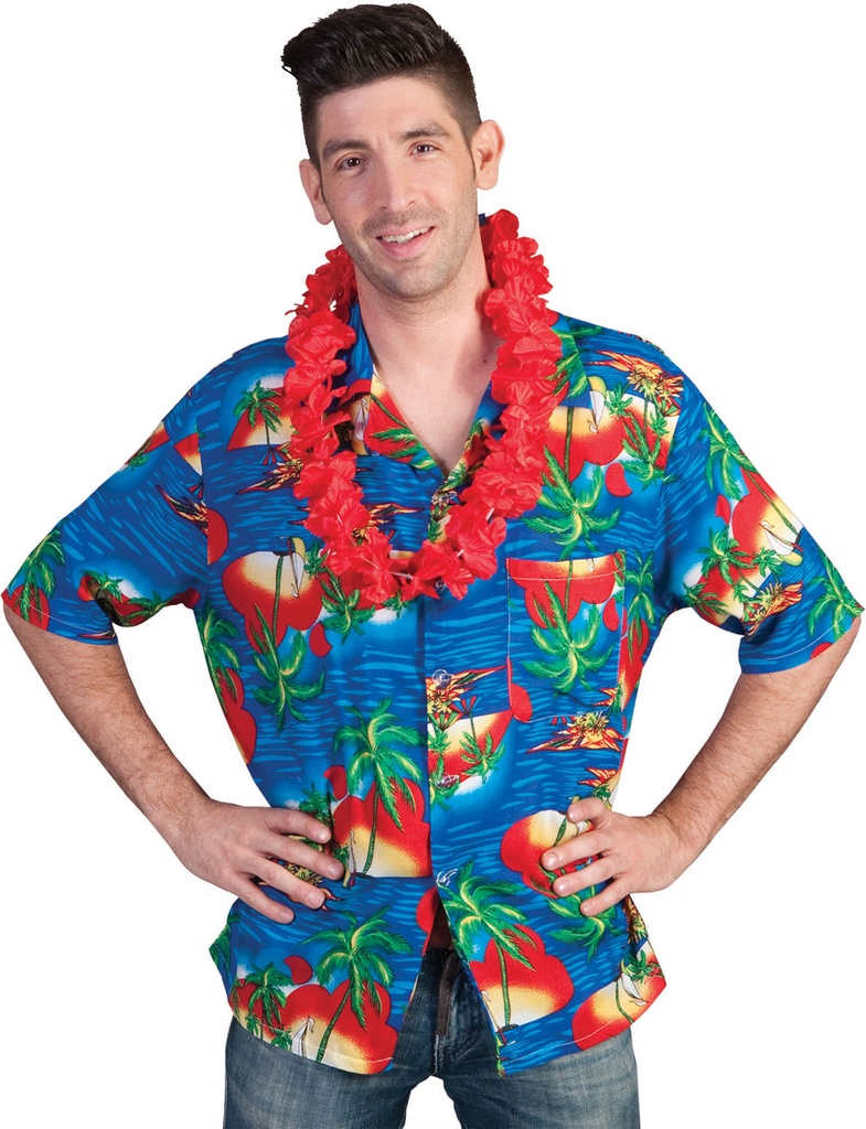 Hawaii shirt Eiland