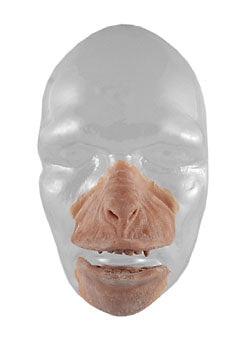 Latexset 54 grimas