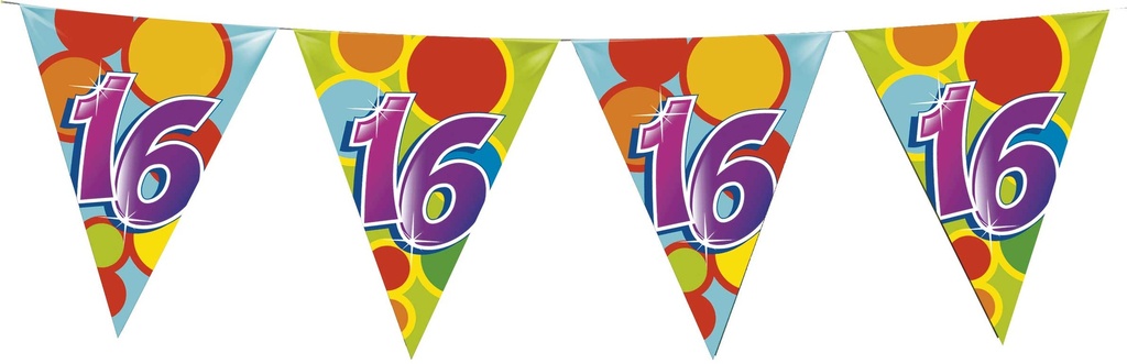 Vlaggenlijn 10m. in vrolijke kleuren, diverse leeftijden vanaf 16-100