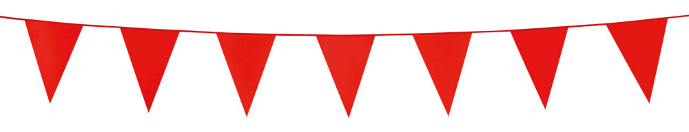 Vlaggenlijn Mini 3 meter