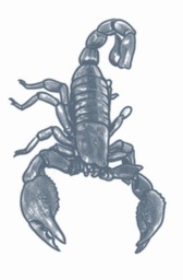 [PR-301] Tijdelijke Tattoo Schorpioen