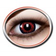 [6279435] Fun Lenzen Red Wolf 3-maands