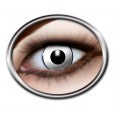 [6279473] Fun Lenzen White Manson 3-maand