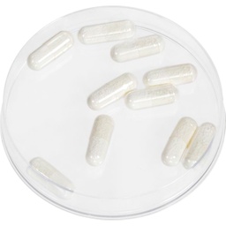 [04047] Kryolan Schuim Capsules 10 stuks