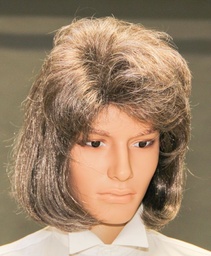 [30040.08] Heren pruik 70's grijs gemêleerd
