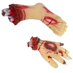 [74697] Afgehakte hand en voet