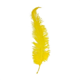 Struisveer groot 60cm