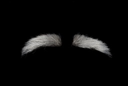 [4427] Wenkbrauwen Sint Yak universeel