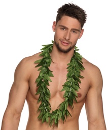 [52269] Hawaii groene bladeren krans Highwa