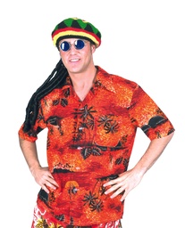 Hawaii shirt rood