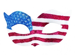 [00240] Oogmasker USA