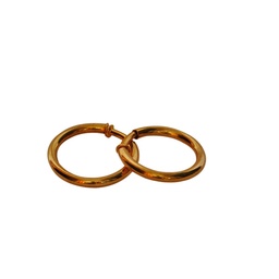 [810.2015.0000] Oorring 40 mm Piet