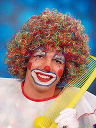 [30353] Clownspruik August