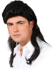 [30808.00] Heren pruik Rocker zwart