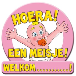 [7005019] Verkeersbord hoera `n Meisje