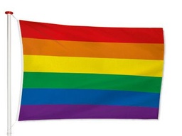 [39-60015] Vlag regenboog 90x150 cm