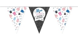 [437901] Vlaggenlijn Gender Reveal