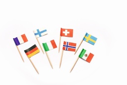 [6297] Vlagprikkertjes Internationaal